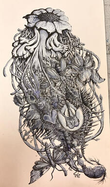 A Study of Haeckel
