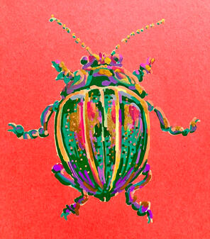 Beetle